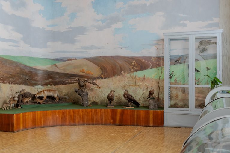 muzeul-cahul-expozitie